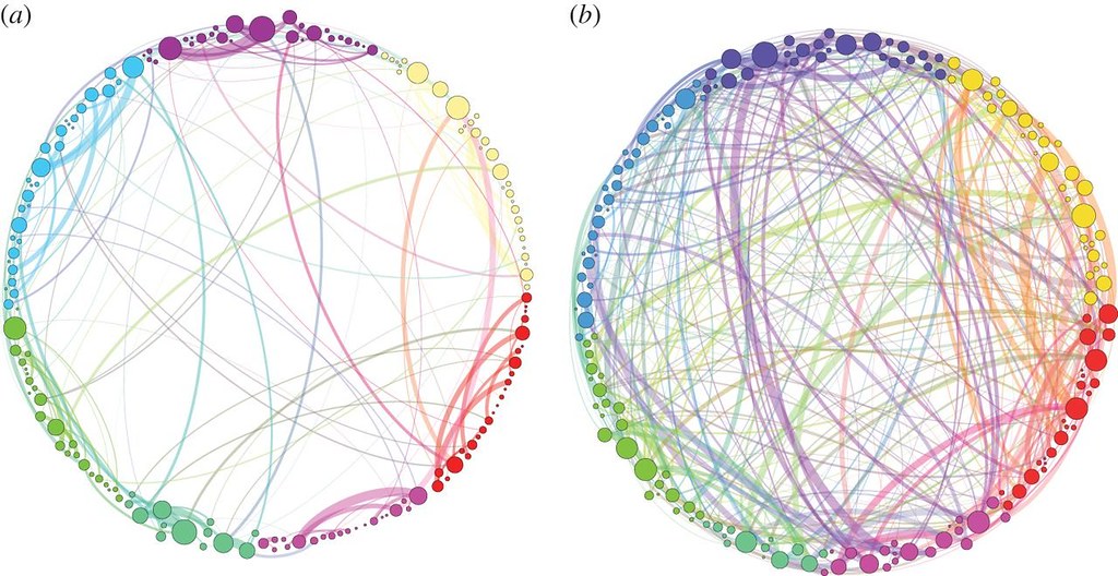Groundbreaking Model Reveals New Insights about Psilocybin’s Effect on the&nbsp;Brain