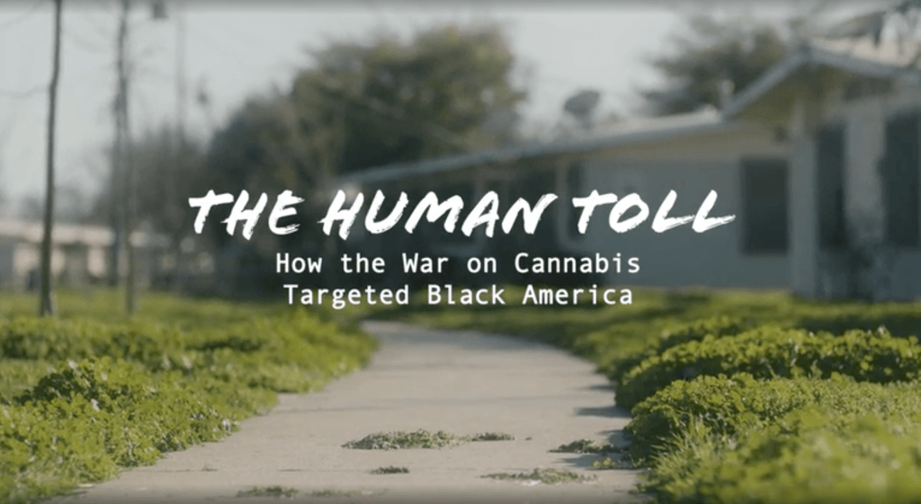 Watch The Human Toll: How the War on Cannabis Targeted Black&nbsp;America